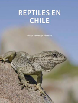 Reptiles en Chile
