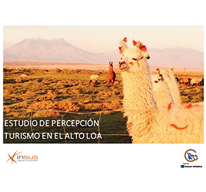 Estudio de percepción Turismo en el Alto Loa