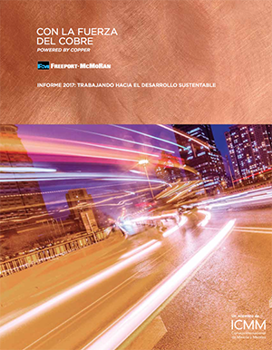 Informe 2017: trabajando hacia el desarrollo sustentable