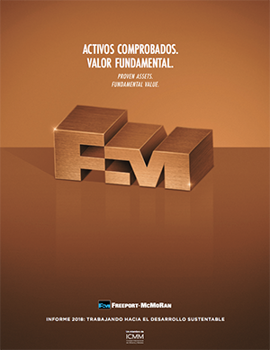 Informe 2018: trabajando hacia el desarrollo sustentable
