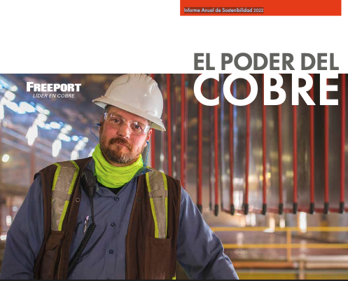 Informe Anual de Sostenibilidad 2022