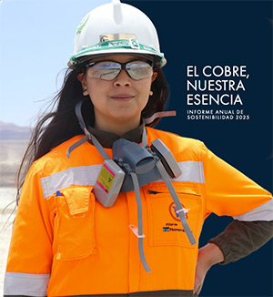 Informe Anual de Sostenibilidad Freeport-McMoRan 2025